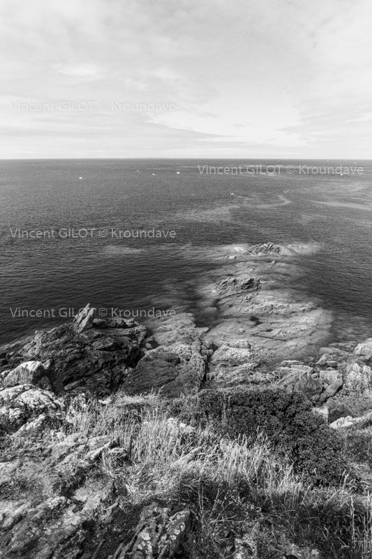La pointe du grouin