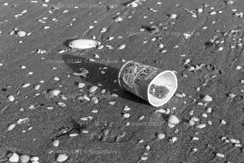 Mondialisation et pollution