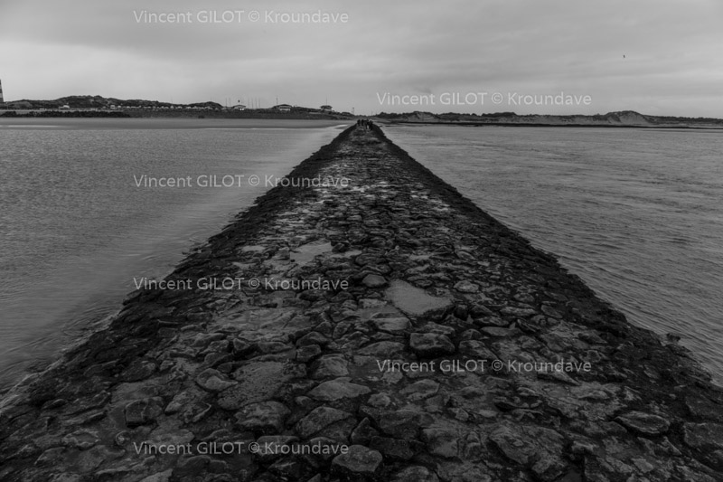 Baie d'Authie