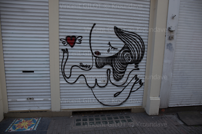 Hairy woman / Sonke